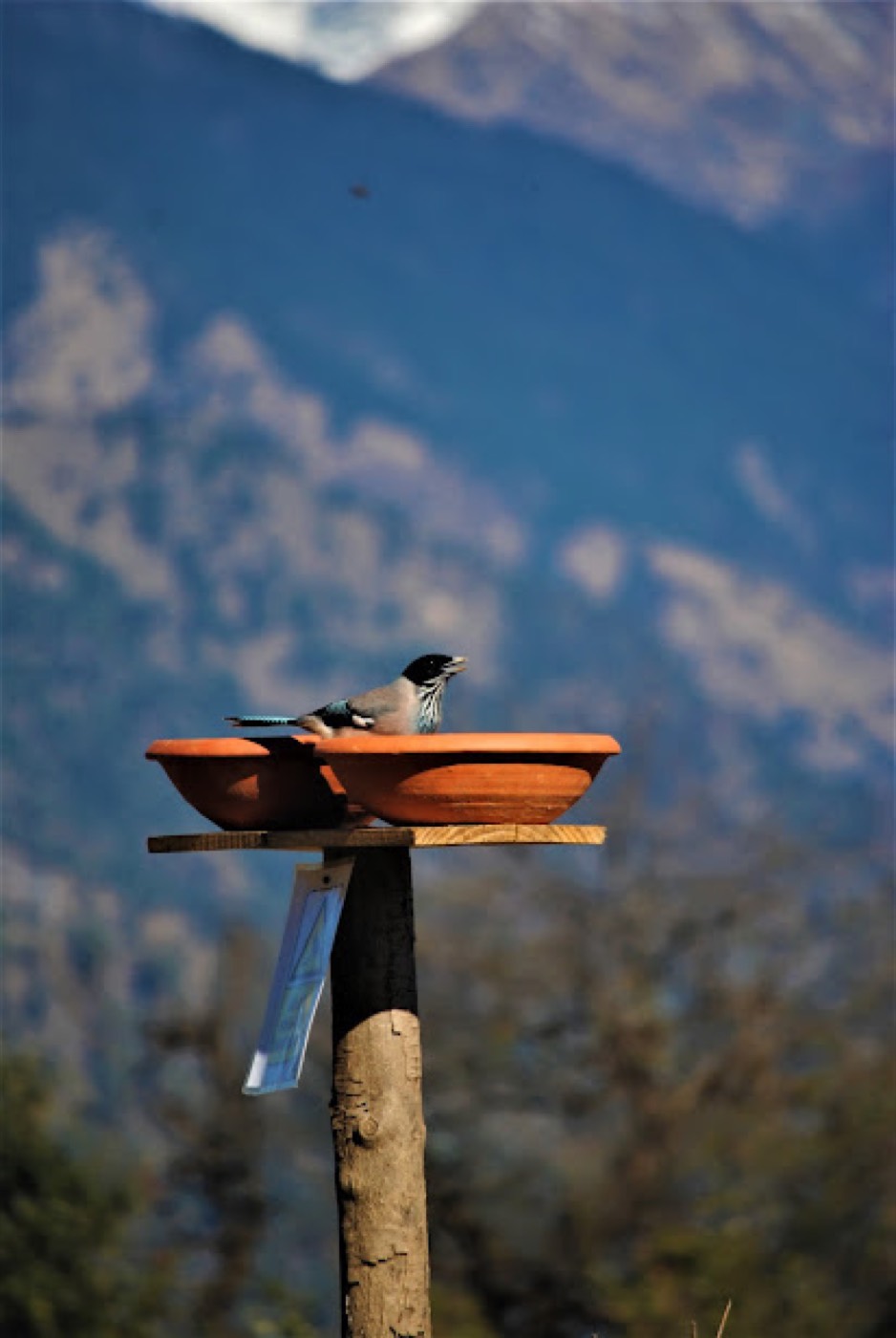 A moment from an Avyukta Circle retreat