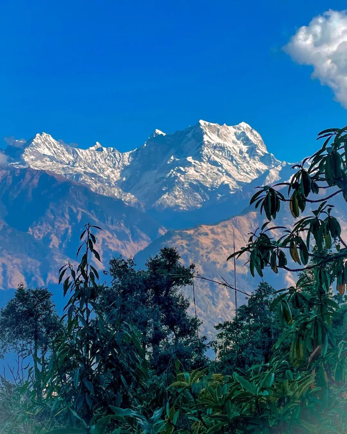 A moment from an Avyukta Circle retreat
